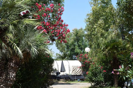 Mobil-home ou tente : quel hébergement choisir pour une première expérience de camping ?