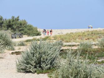 Chemin vers la plage