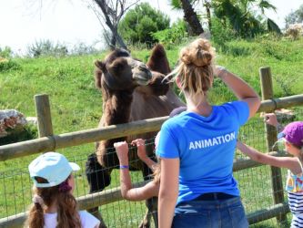 Camping avec mini ferme